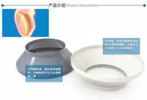 PP 大小头
