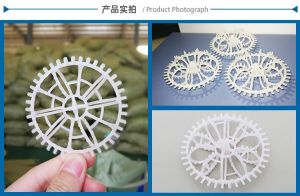PP Raschig Ring