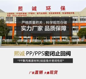 PP 阻燃密闭止回阀