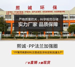PP 成型法兰